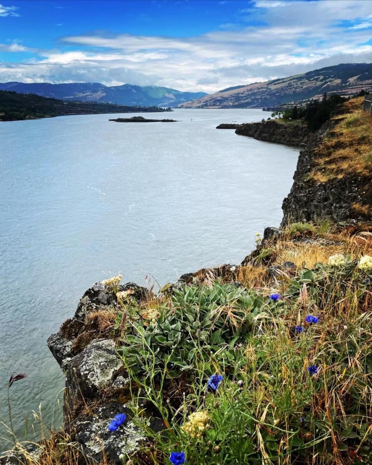 Gorgeous Gateway To The Columbia River Gorge Washougal Extérieur photo